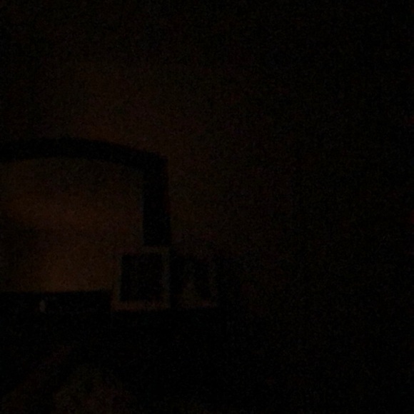 Meet your Posher, Tommy - Picture 1 of 1